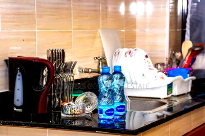 1bdrm Apartment in Hotel 67 Area for sale - Image 4