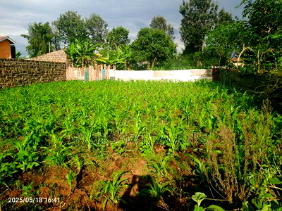 Land for Sale - Image 7