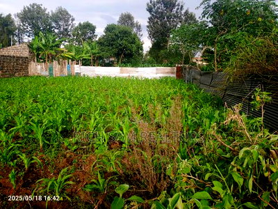 Land for Sale - Image 1