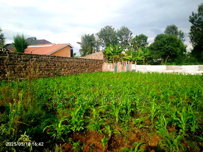 Land for Sale - Image 3