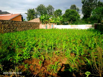 Land for Sale - Image 6