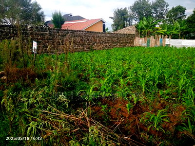 Land for Sale - Image 2