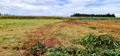 1 Acre Land for Sale in Kiplombe Kapndani in Eldoret - Image 4