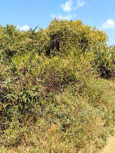 36acres for Sale - Image 1