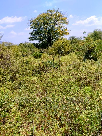 36acres for Sale - Image 2