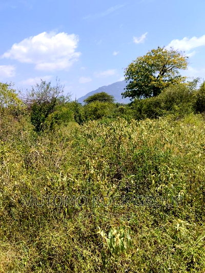 36acres for Sale - Image 3