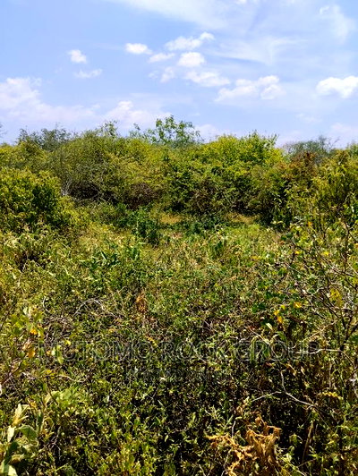 36acres for Sale - Image 5