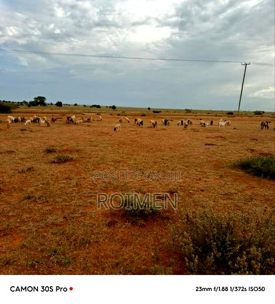 Eka 10 Eneo La Imbirikani - Image 4