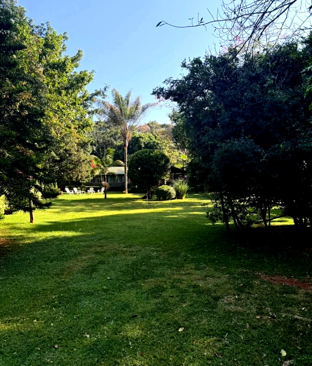 1.2-Acre Prime Land with Townhouse – Hardy, Karen