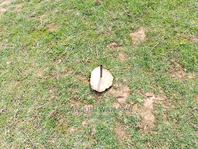 Prime Plots With Proximity to Tarmac - Image 10