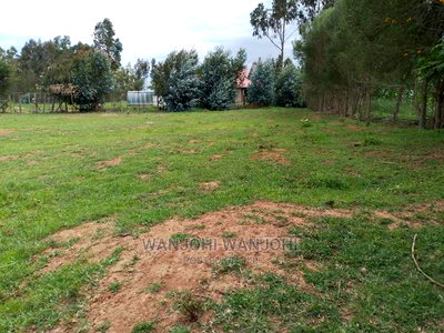 Prime Plots With Proximity to Tarmac - Image 3