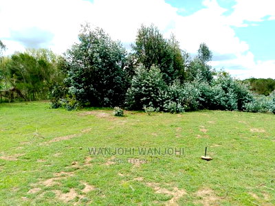 Prime Plots With Proximity to Tarmac - Image 4