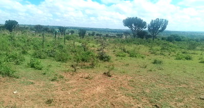 3-Acre Land in Narok Pulunga