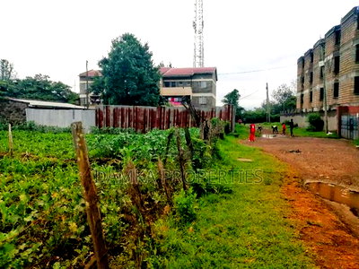 50*100 Plot for Sale in Freehold Opp. Kasarani Police Line - Image 3