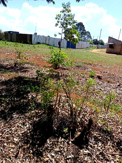 Commercial Plot for Sale in KIMUMU Eldoret - Image 3