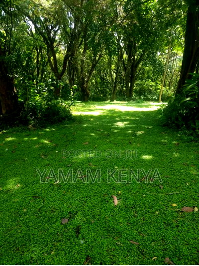 1/4 Plot for Sale Vinyard Estate Milimani Kitengela - Image 5