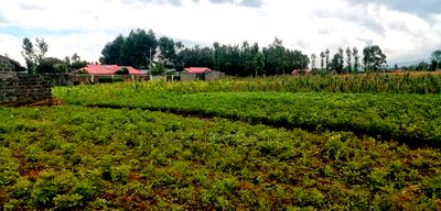 50*100 Plot for Sale Next to St. George's Grasslands School - Image 1