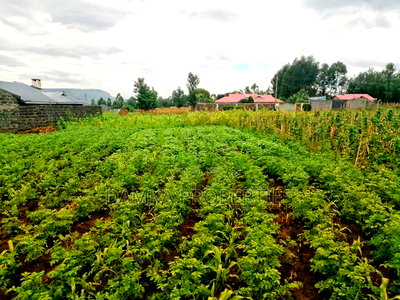 50*100 Plot for Sale Next to St. George's Grasslands School - Image 3