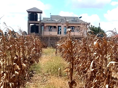 2 Plots for Sale - Image 4