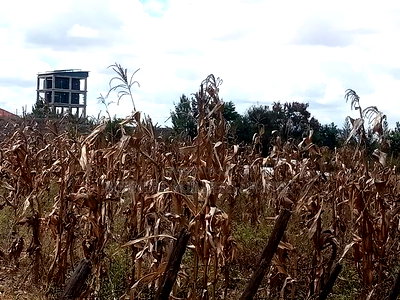 2 Plots for Sale - Image 3