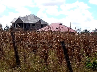 2 Plots for Sale - Image 9