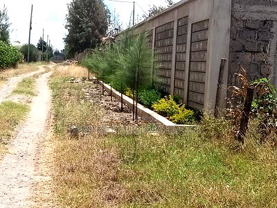 2 Plots for Sale - Image 11