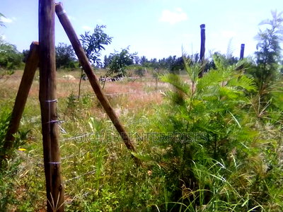 Murang'a Mirira - Image 1