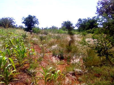 Murang'a Mirira - Image 6