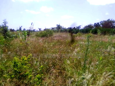 Murang'a Mirira - Image 5