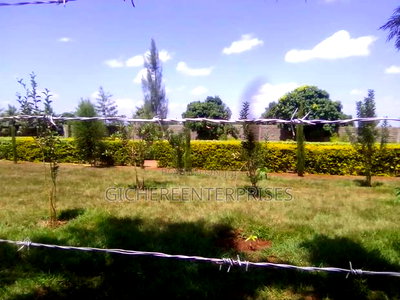 Murang'a Mirira - Image 3