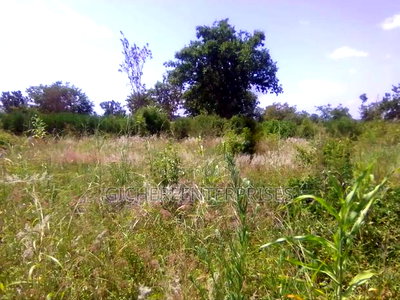 Murang'a Mirira - Image 7