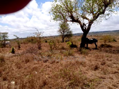 1 Acre for Sale in Mavueni Kilifi - Image 3