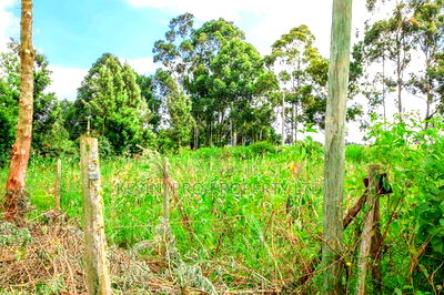 Prime Commercial Plot Fronting Tarmac for Sale in Kikuyu - Image 7