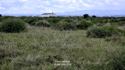 41 Acres for Sale - Image 5