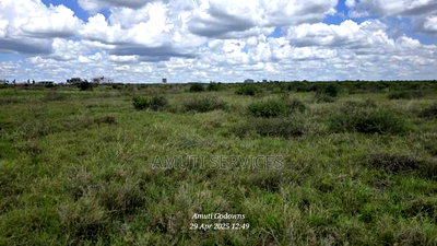 41 Acres for Sale - Image 4