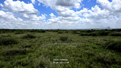 41 Acres for Sale - Image 3