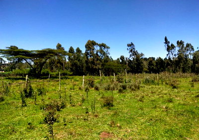 Half Acre in Karen at 30M