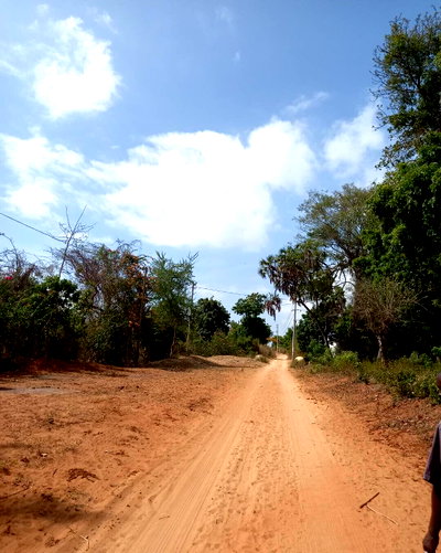 2.5-Acre Plot for KSh 80M