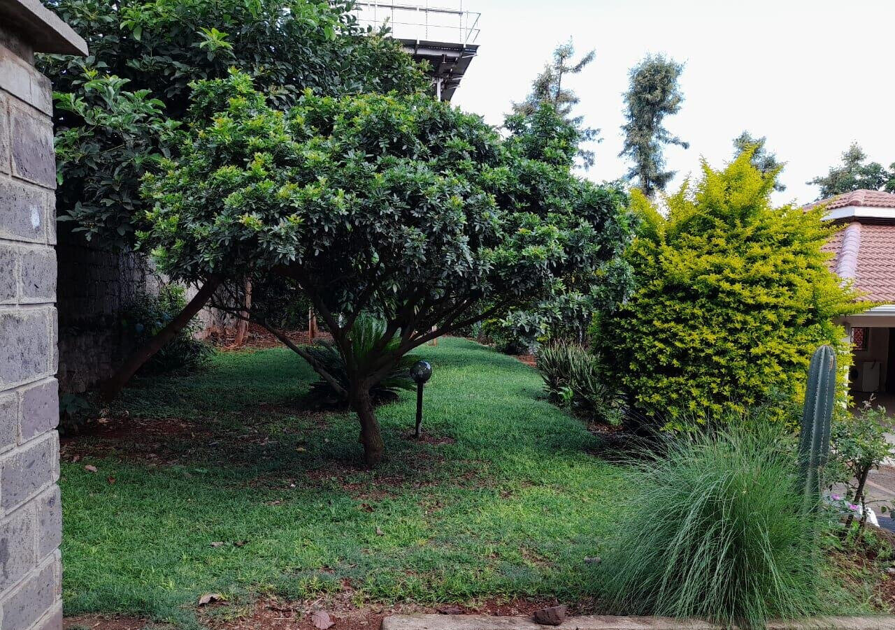 0.57 Acre 5BR Home with Garden