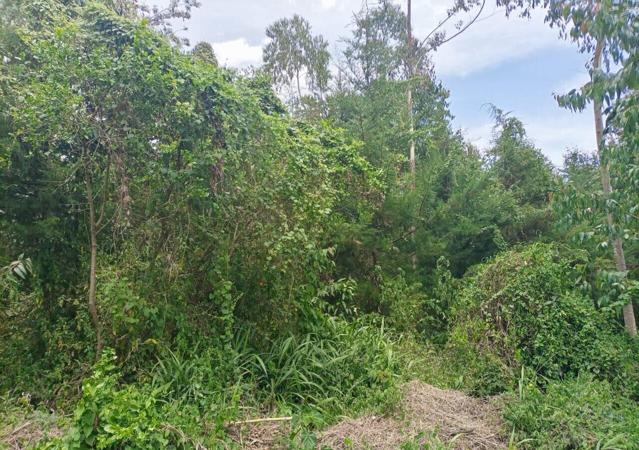 7.5-Acre Land in Laikipia Central