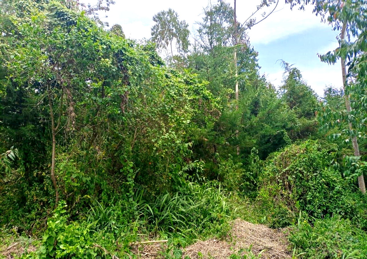 7.5-Acre Land in Laikipia Central