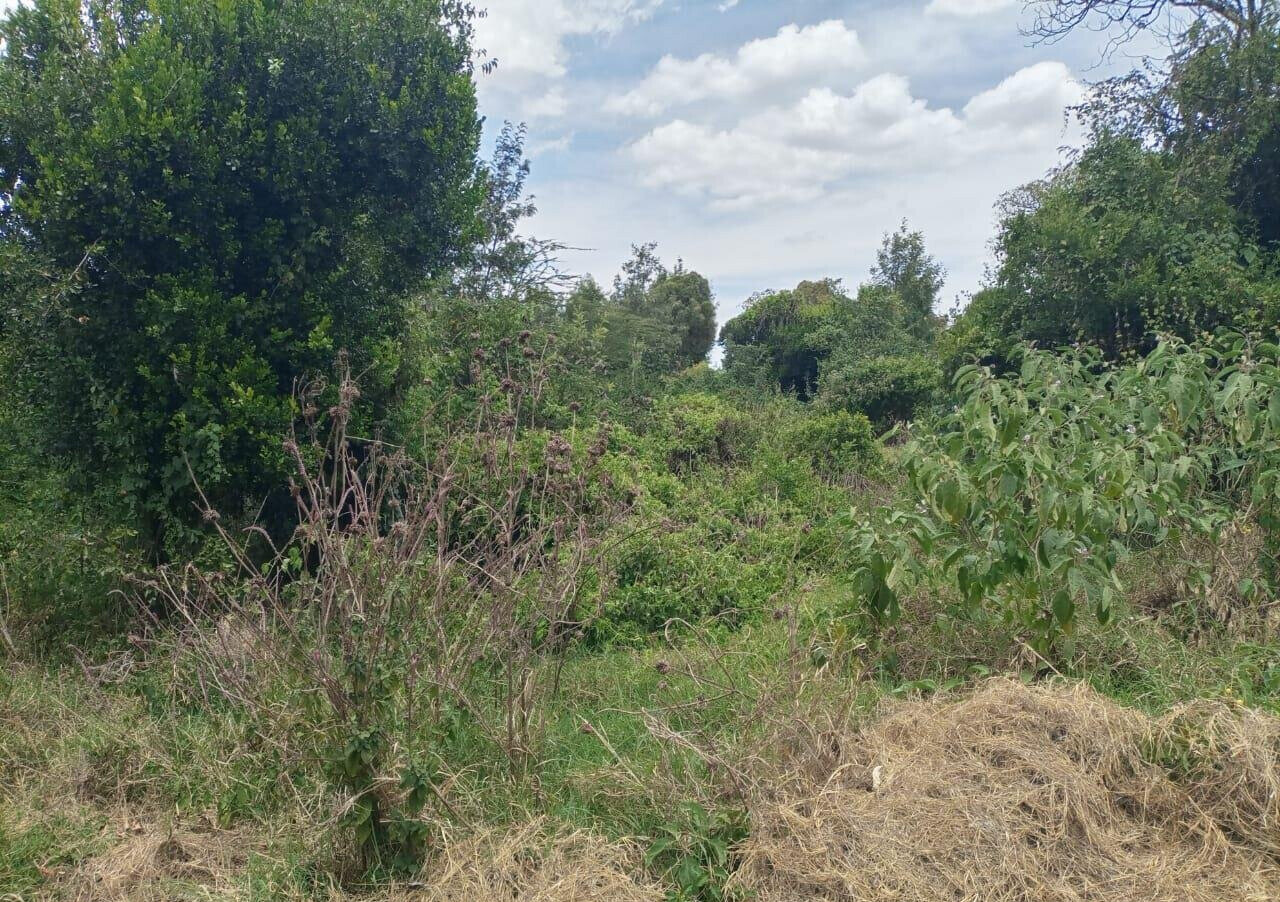7.5-Acre Land in Laikipia Central