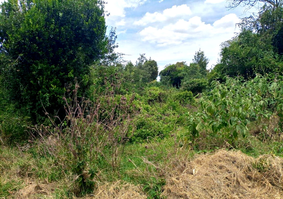7.5-Acre Land in Laikipia Central