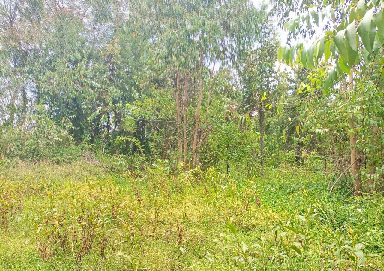 7.5-Acre Land in Laikipia Central