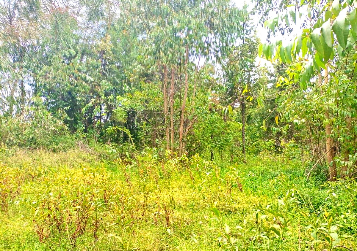 7.5-Acre Land in Laikipia Central