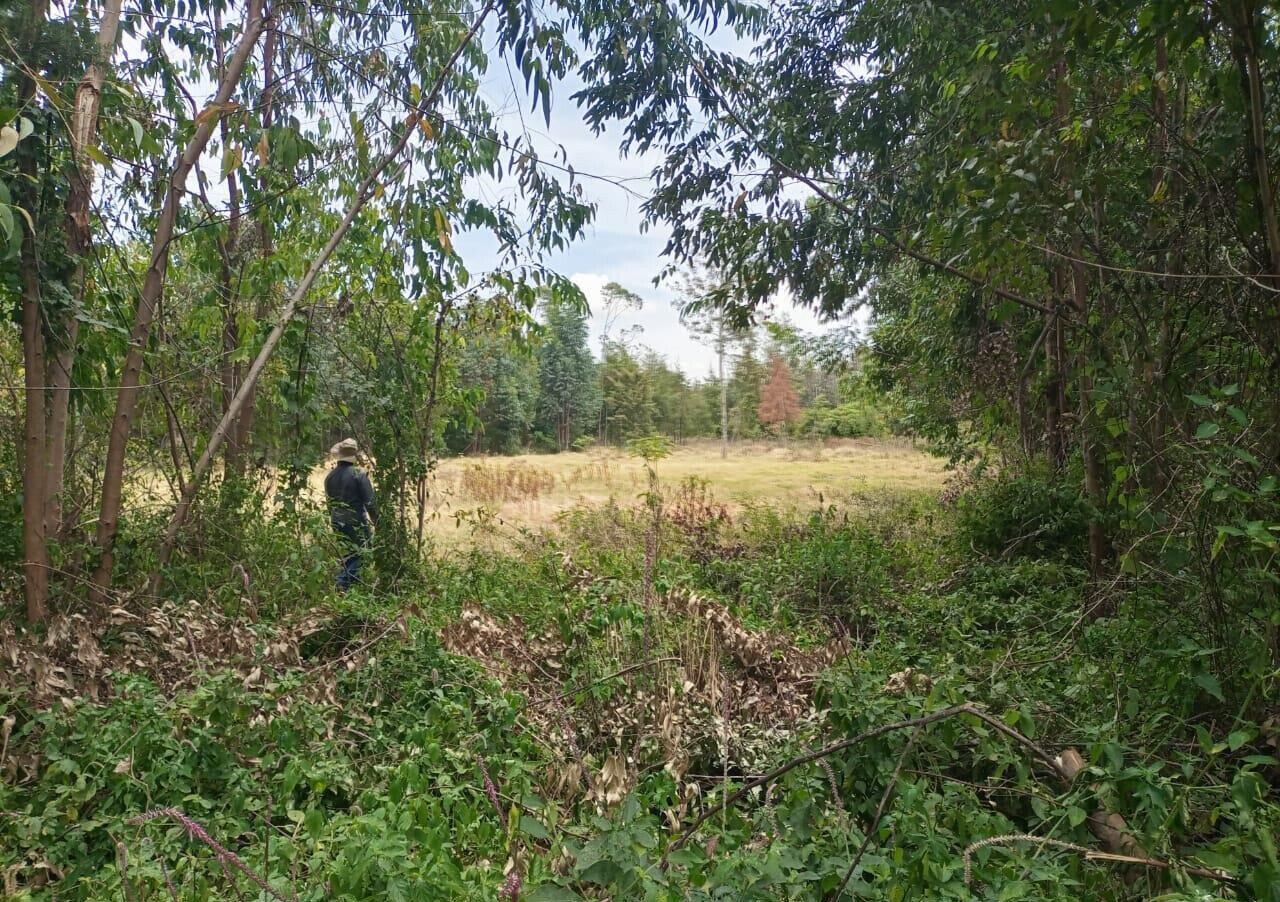 7.5-Acre Land in Laikipia Central