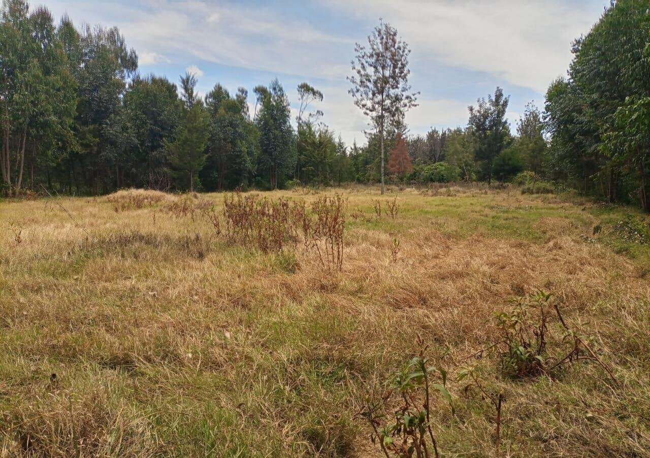 7.5-Acre Land in Laikipia Central