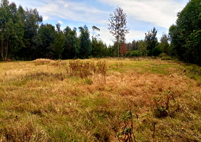 7.5-Acre Land in Laikipia Central
