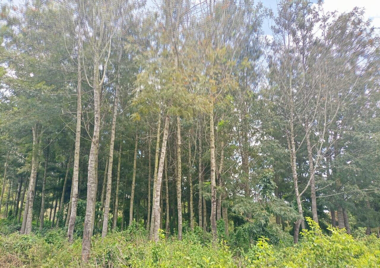 7.5-Acre Land in Laikipia Central