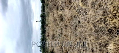 Plots for Sale - Image 2